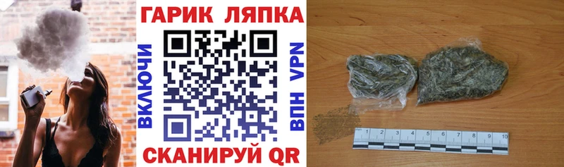 ГАШ Изолятор  где продают наркотики  Елизово 