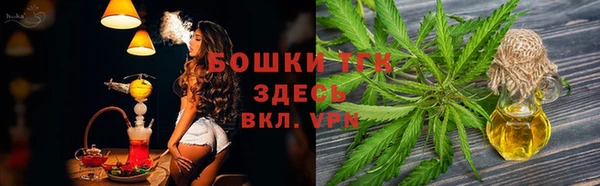спиды Богданович