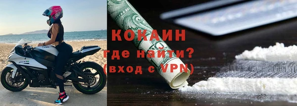 спиды Богданович