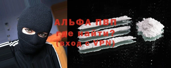 спиды Богданович