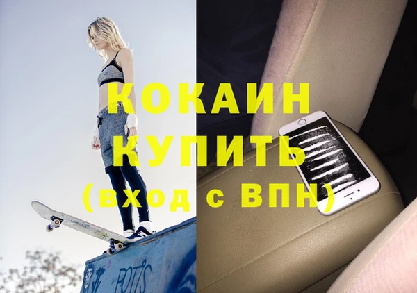 прущий лед Бородино