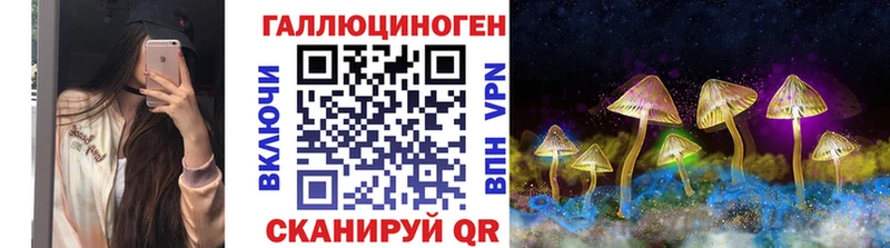 Псилоцибиновые грибы мицелий  ОМГ ОМГ сайт  Елизово 